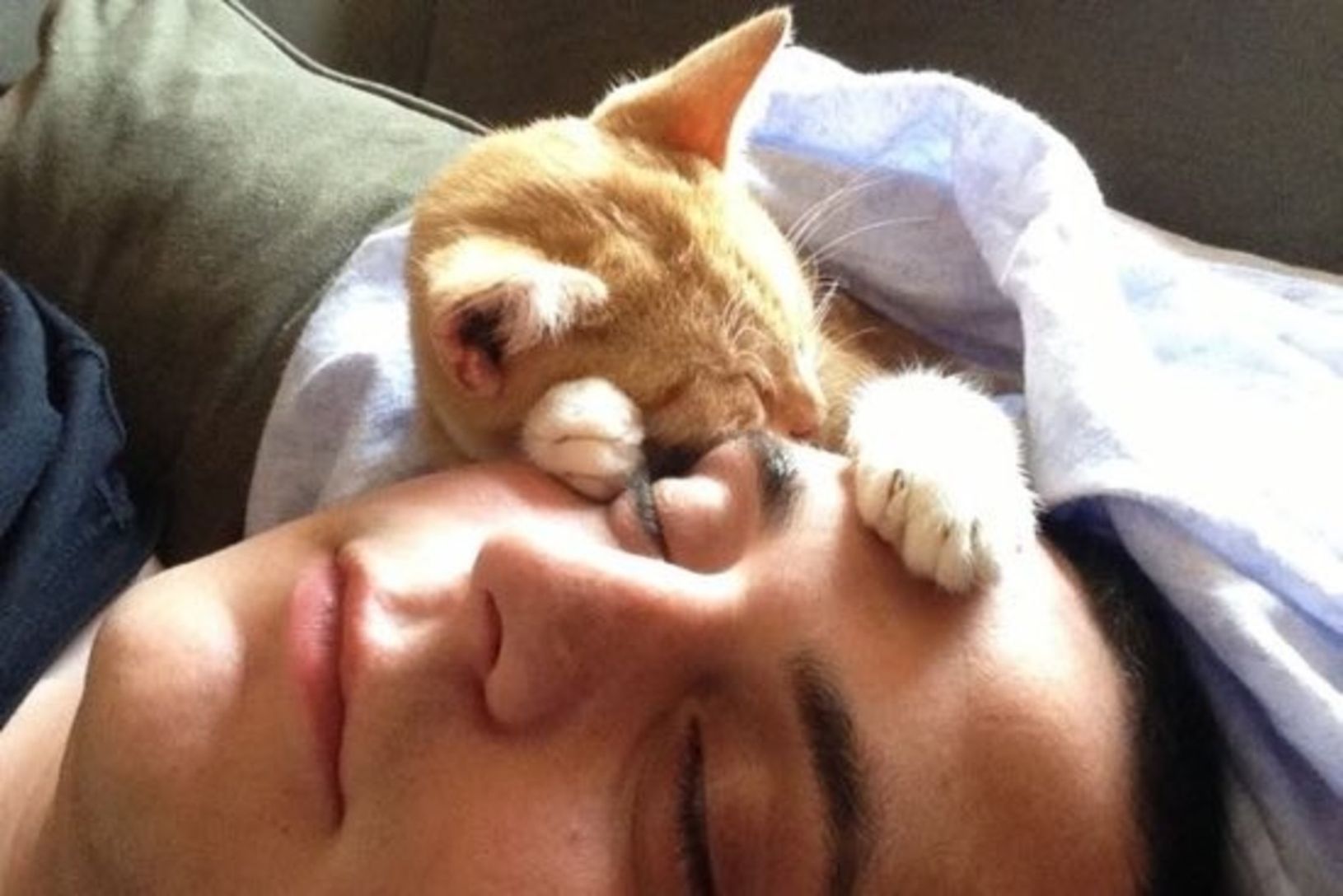 Мужчина любящие кошек. Спящий парень и кот. Коты спят на человеке.