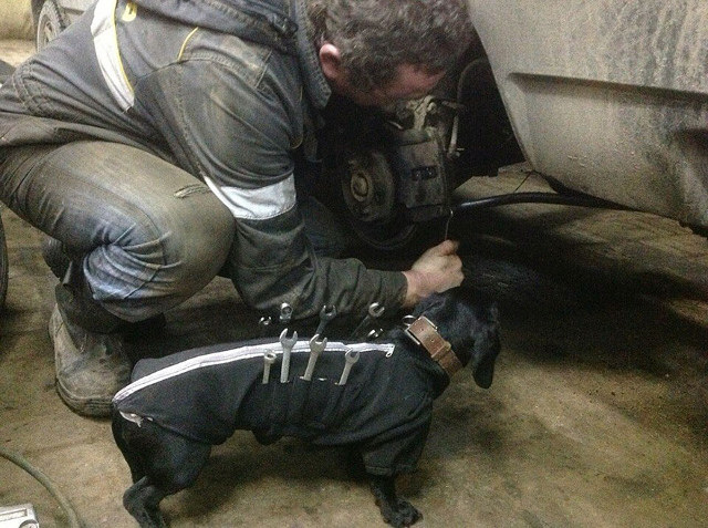 Mechanic and wiener dog