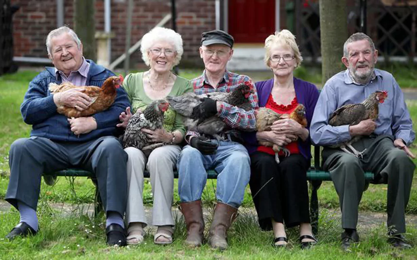 Seniors bonding with hens
