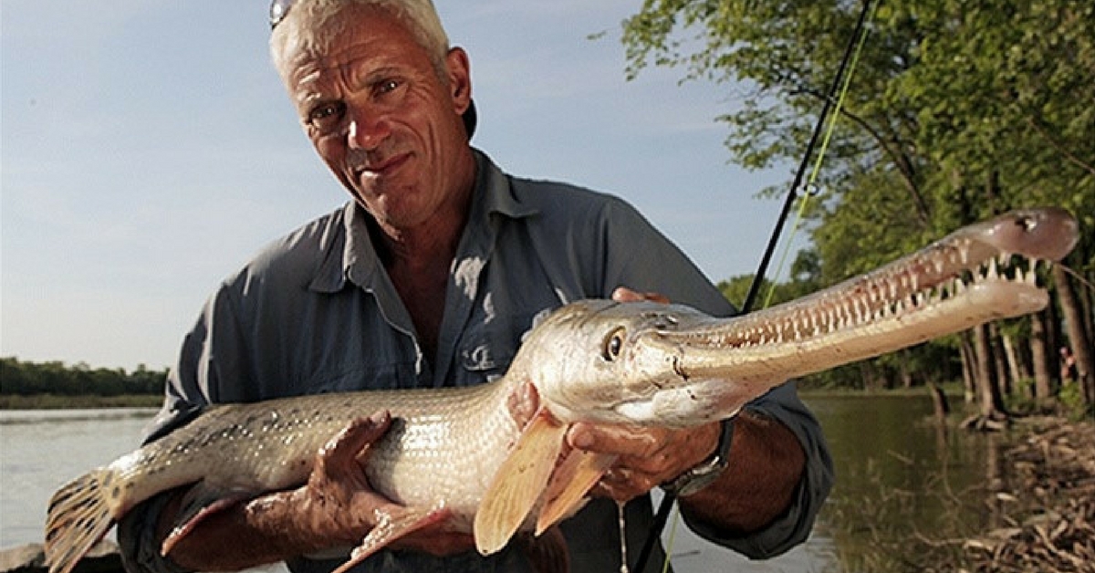 8 River Monsters That Will Keep You Out Of Water For The Rest Of Your Life