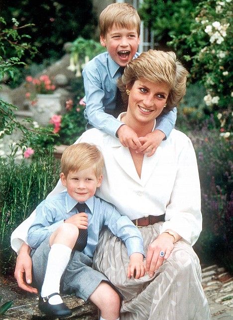 Princess Diana and sons