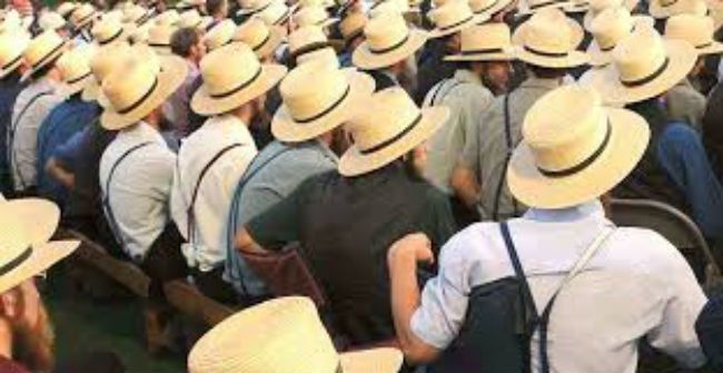 Amish wedding