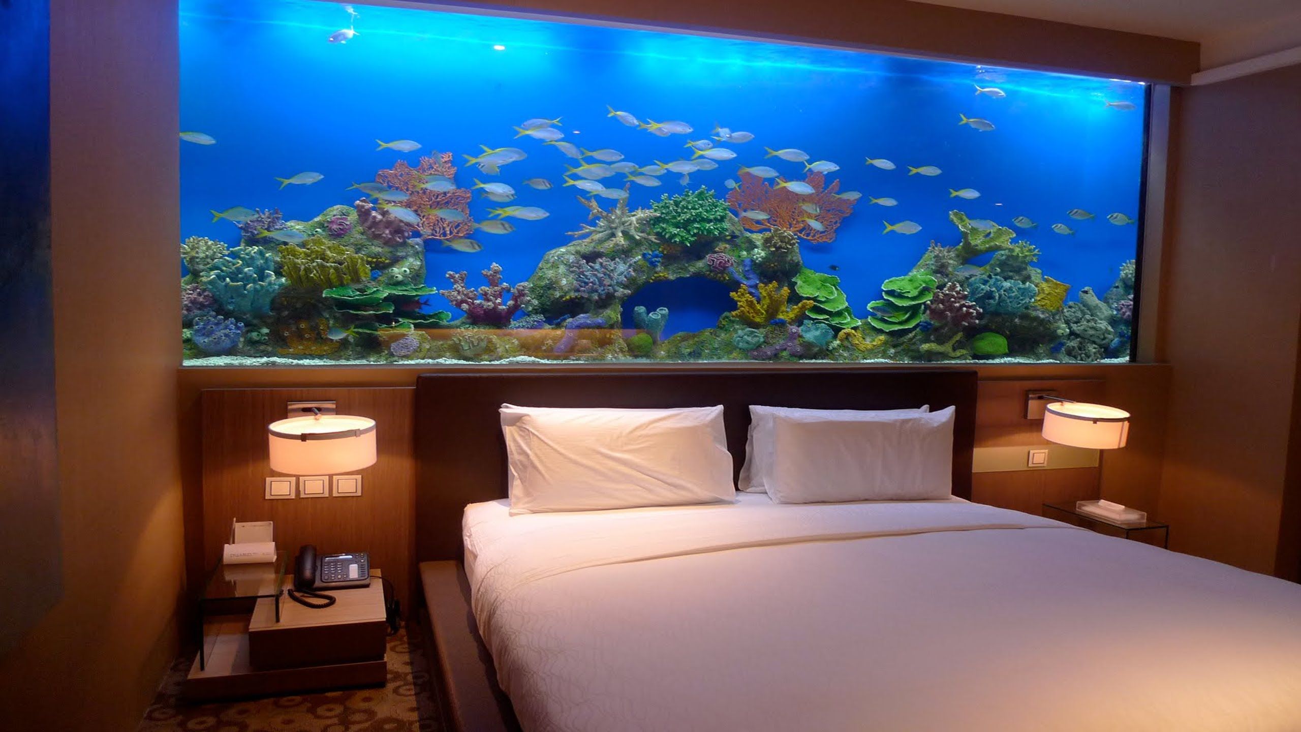 Simple Large Home Aquarium for Living room