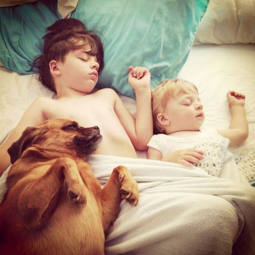 Kids and dogs