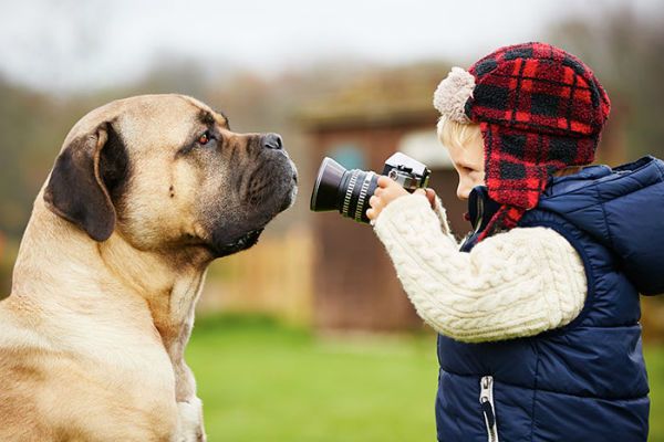 Kids and dogs