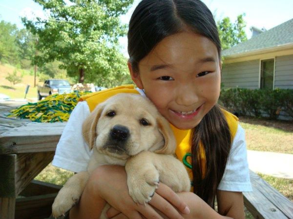 Kids and dogs