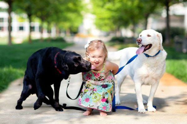 Kids and dogs