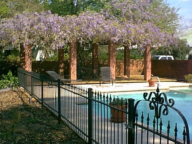 Steel Magnolias backyard and pool