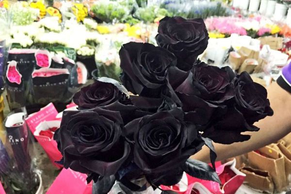 Black roses