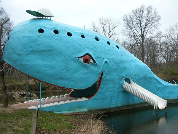 Blue Whale