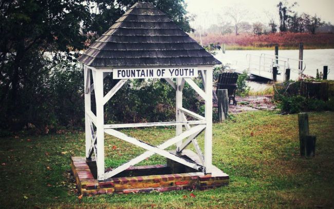 Fountain of Youth