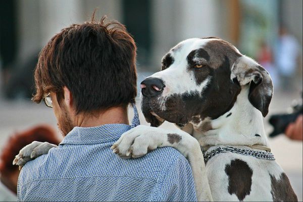 Dog hug.