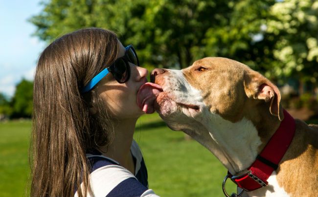 Dog kiss