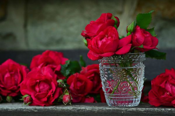 Red roses