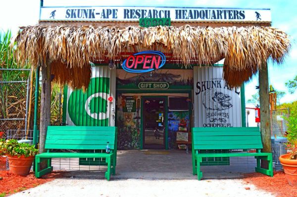 Skunk Ape