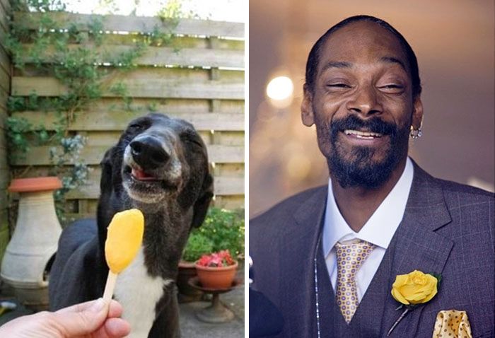 Snoop Dogg and a real dog