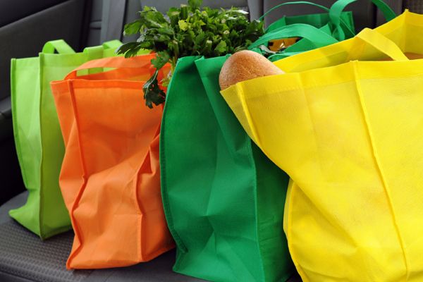 Reusable Grocery Bags