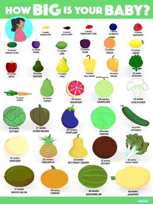 Fruit comparison chart to size of a fetus in pregnancy