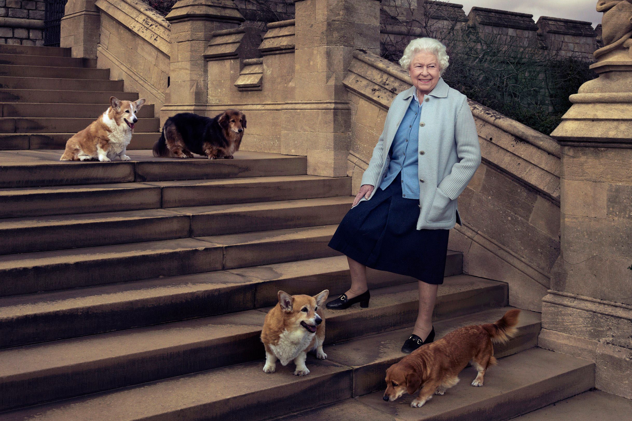 Queen Elizabeth and her dogs