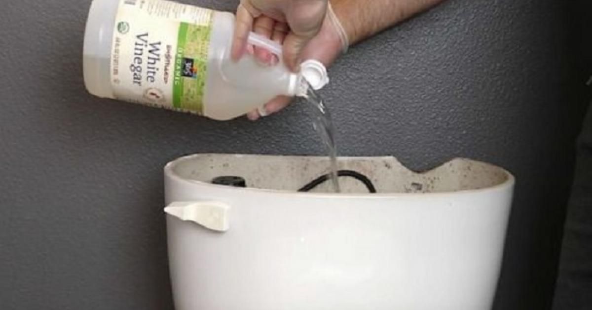 vinegar in toilet tank