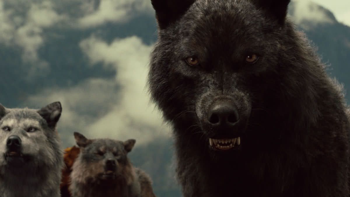Three werewolves