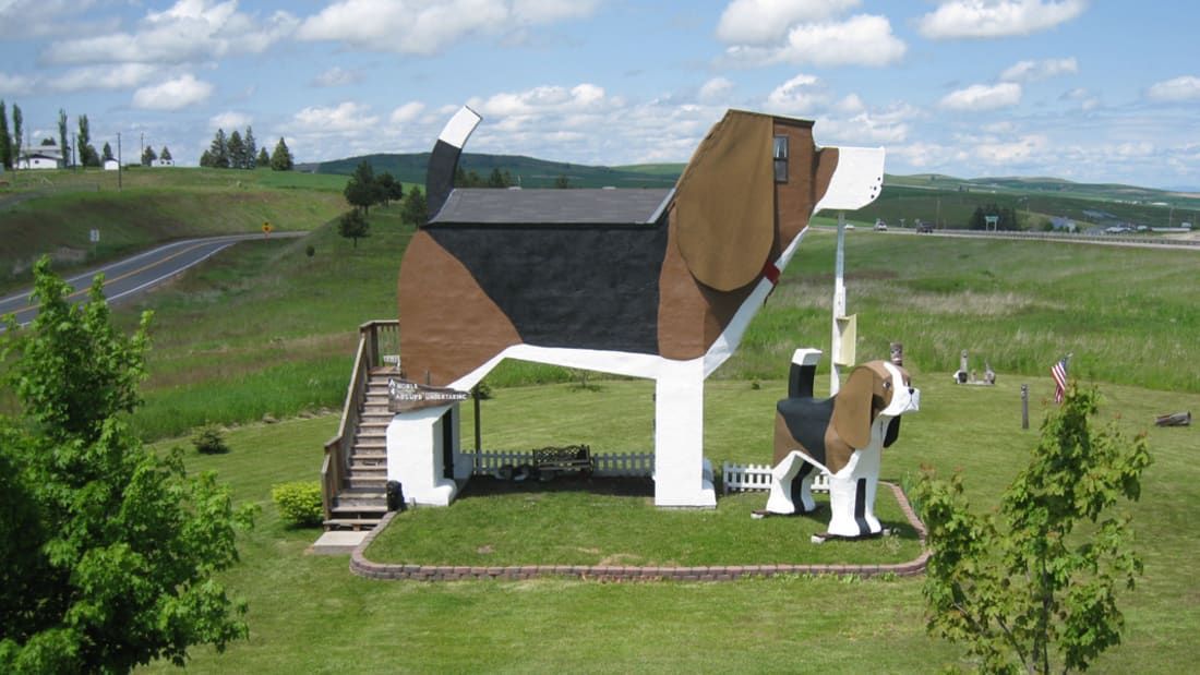 A hotel in the shape of a beagle