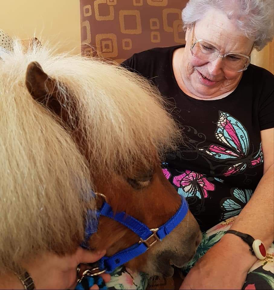 Therapy Ponies Scotland