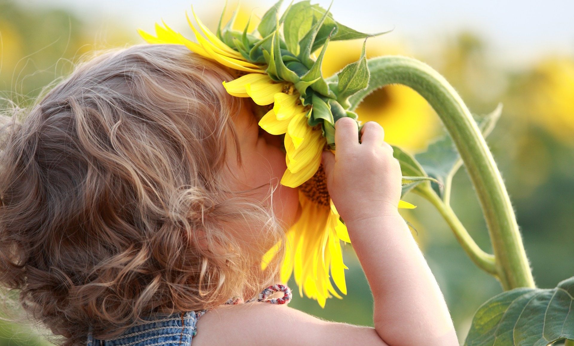 Kid smelling flower