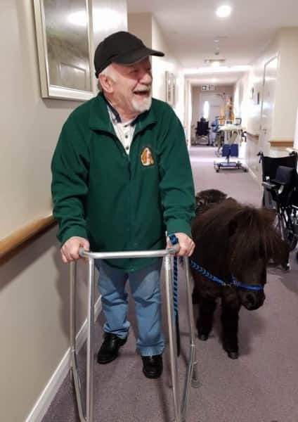 Therapy ponies scotland