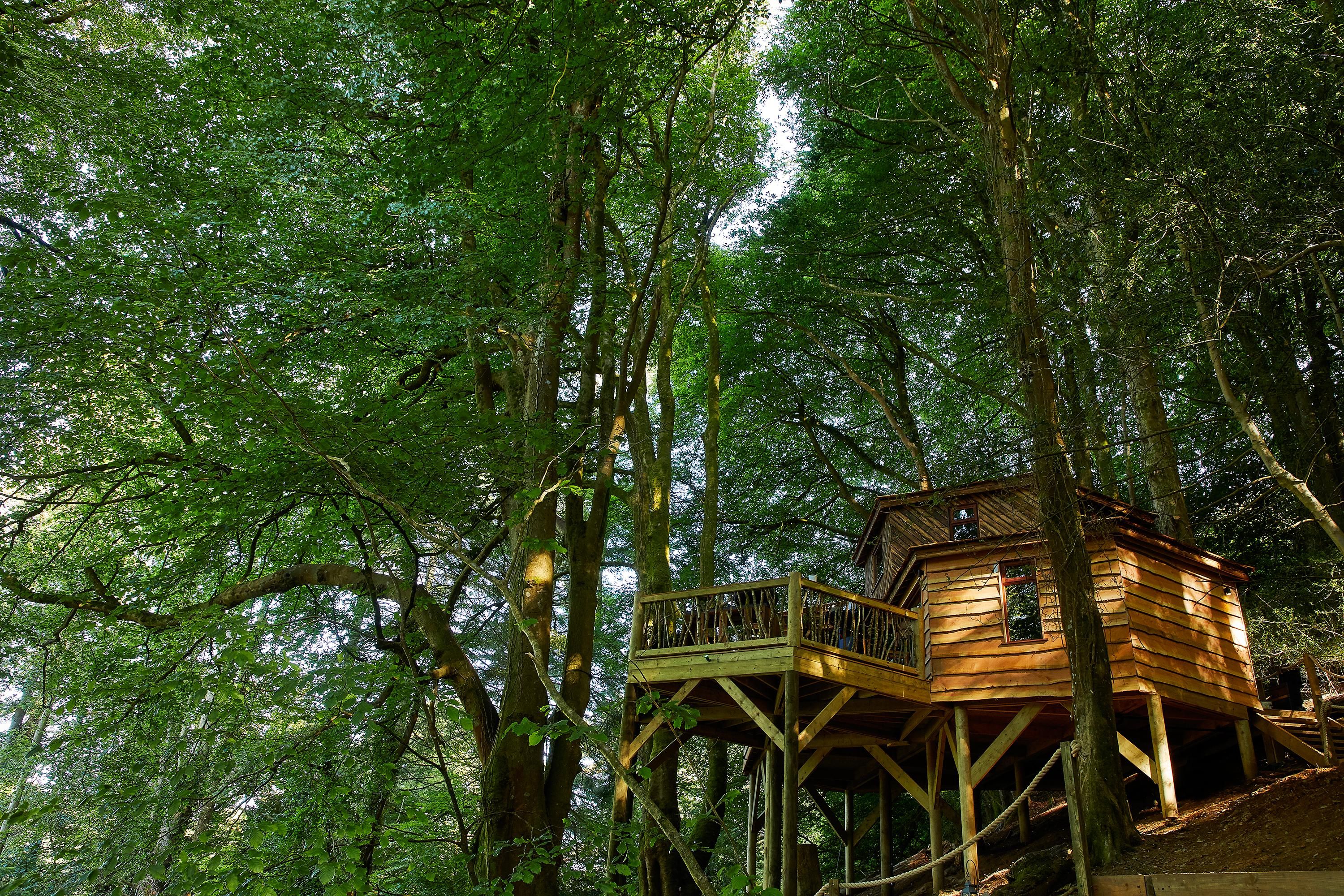The outside of the treehouse 