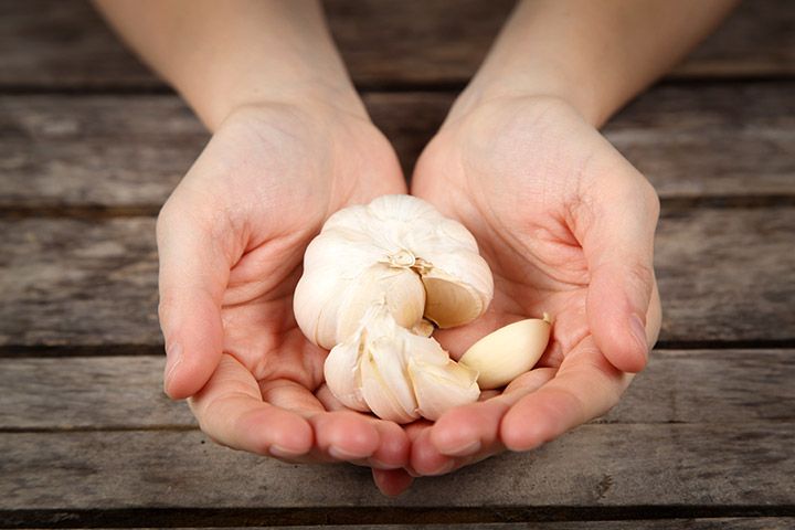 Hands holding garlic
