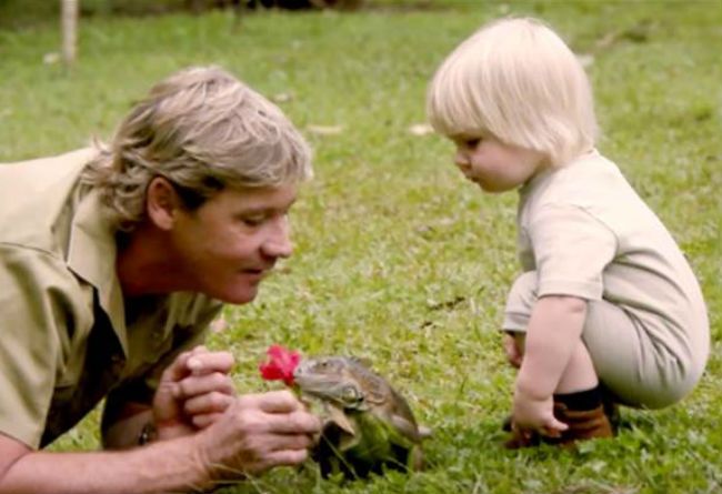 Steve Irwin Robert