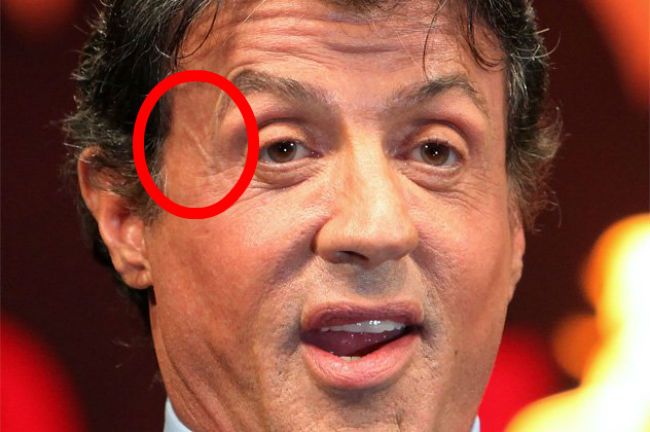 Sylvester Stallone