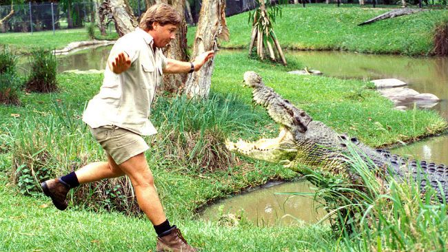 Steve Irwin