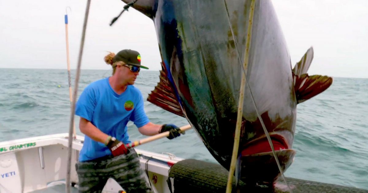 Vaccinere Stifte bekendtskab tyk Wicked Tuna' Star Dies Unexpectedly At 28