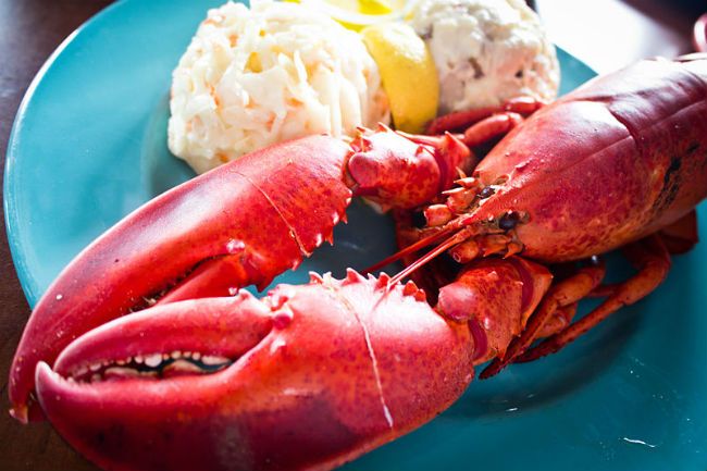 Lobster color