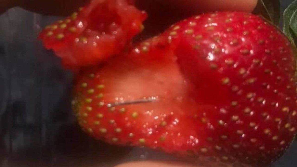 strawberries needles