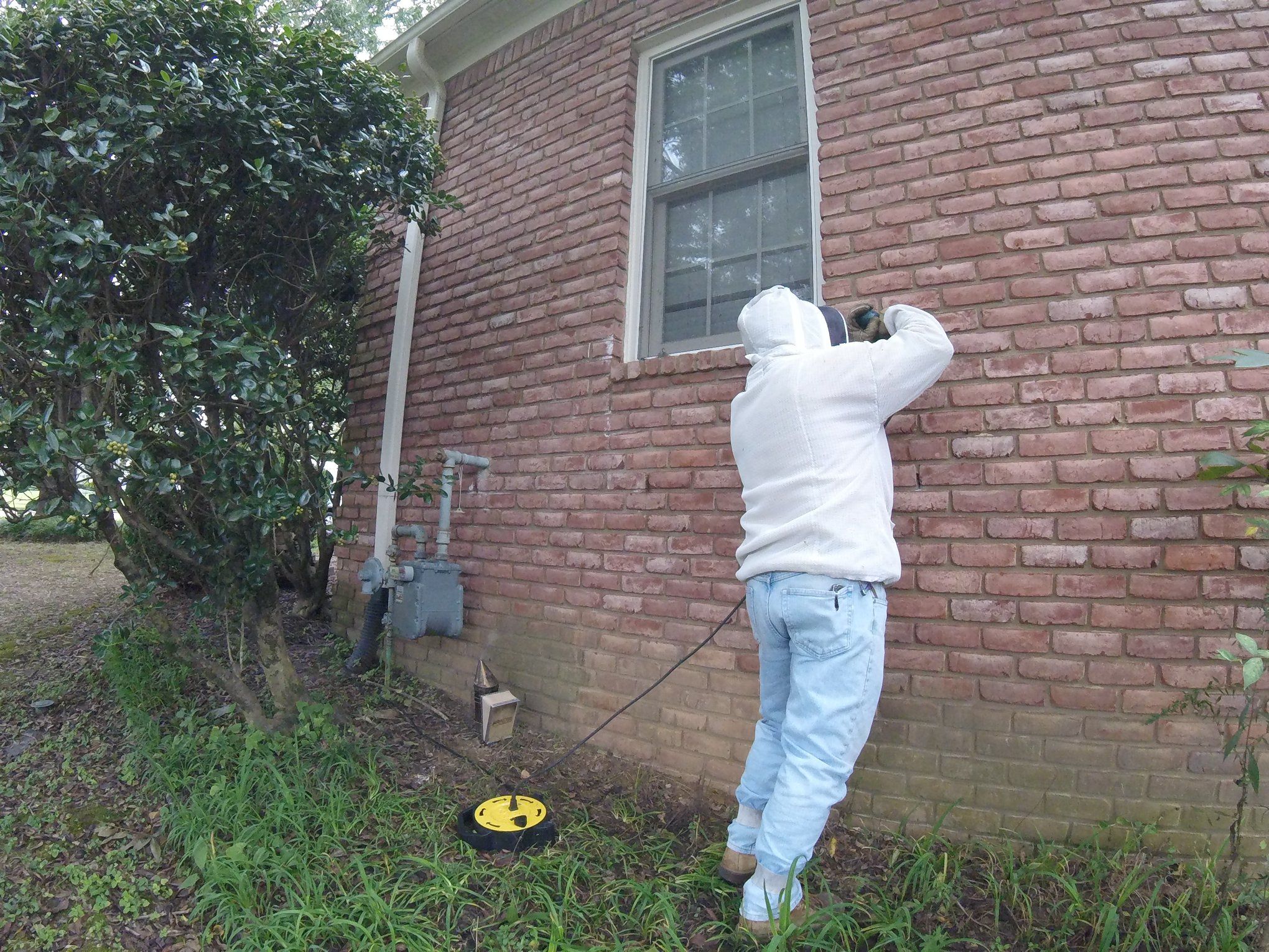 Bee Keeper smoking out bees