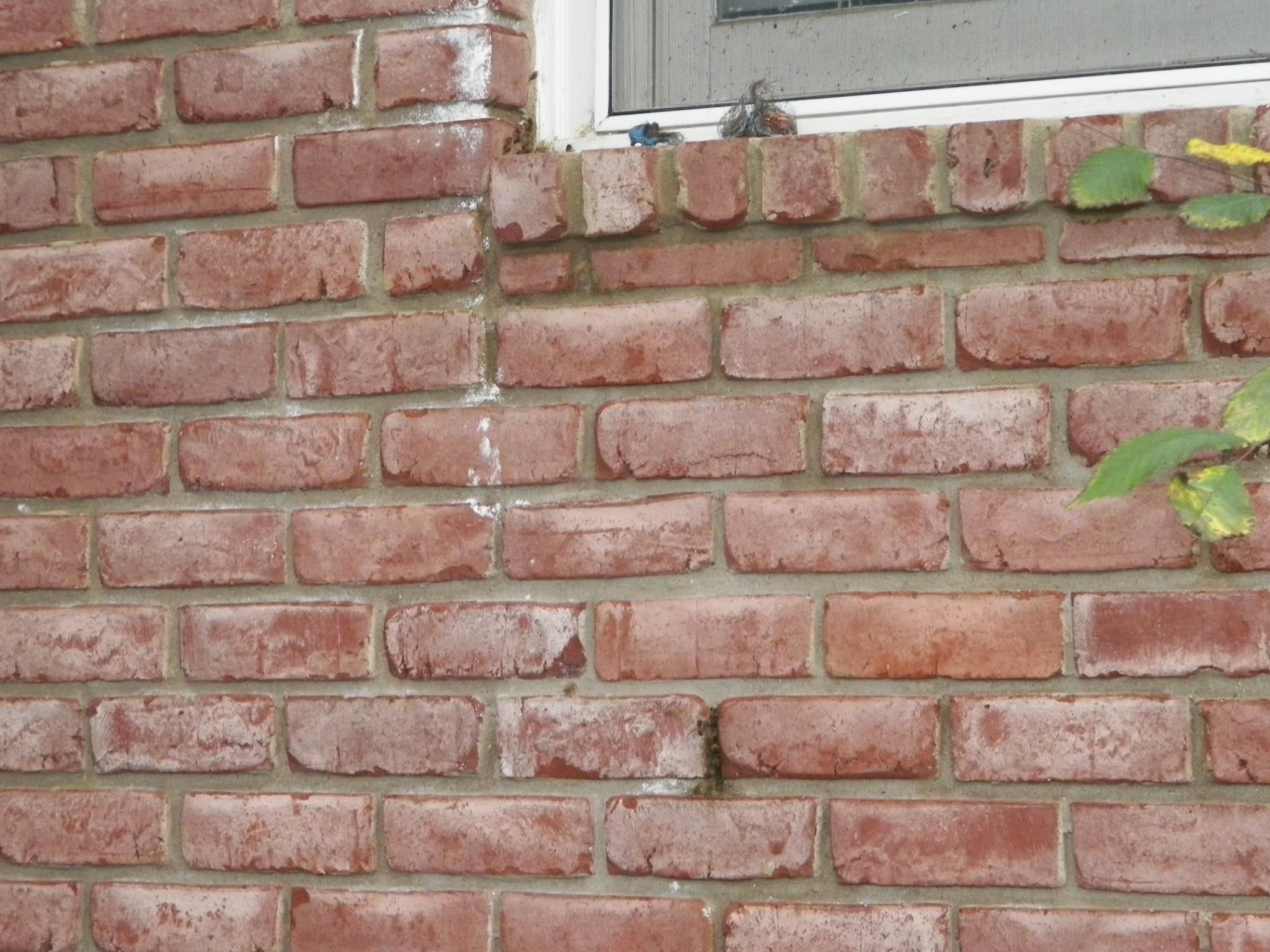 Small gap that allowed bees to build hive