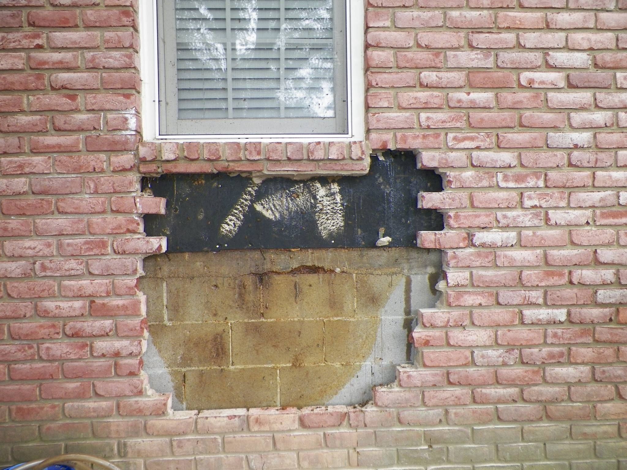 Aftermath of bee hive removed from brick wall