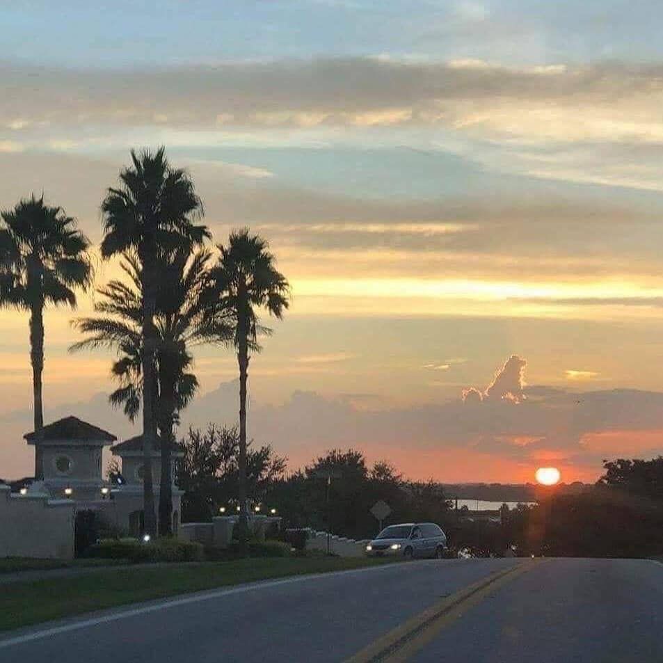 dog-shaped cloud