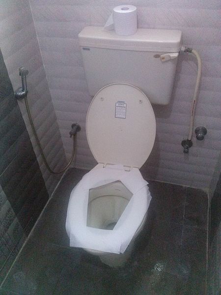 Toilet paper on a toilet seat