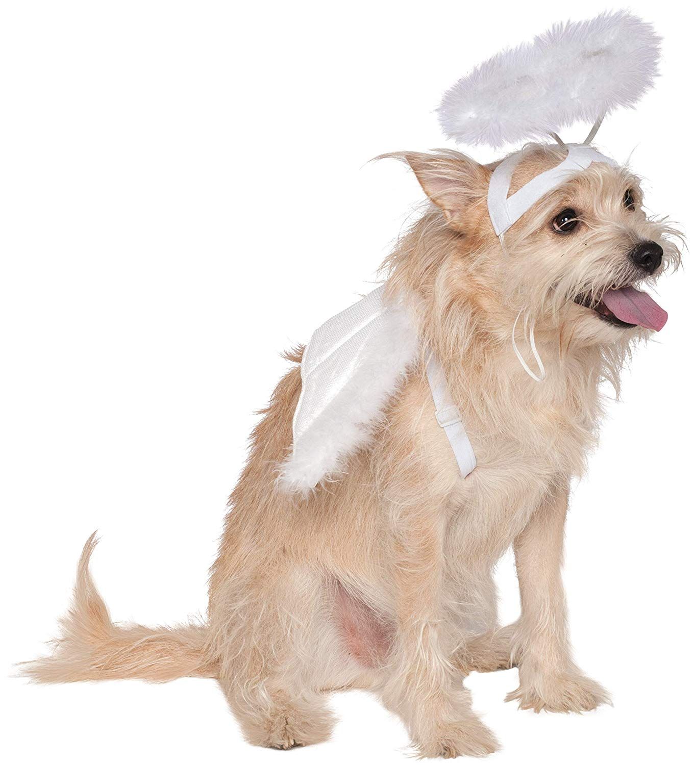 angel costume 