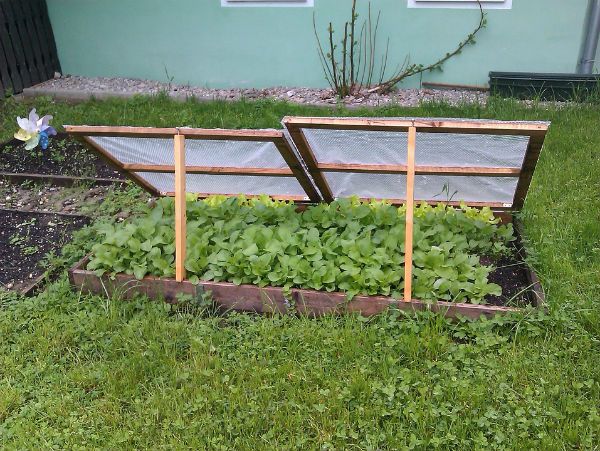 Cold Frame