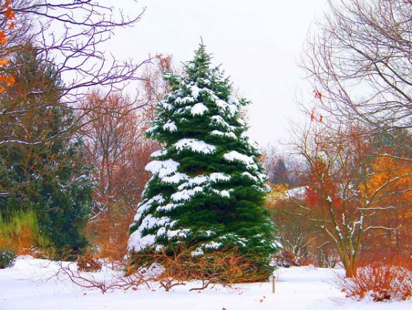 7 Ways Gardeners Can Keep Busy In The Fall And Winter