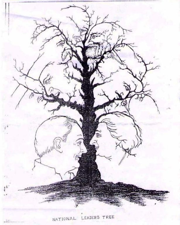 tree faces 