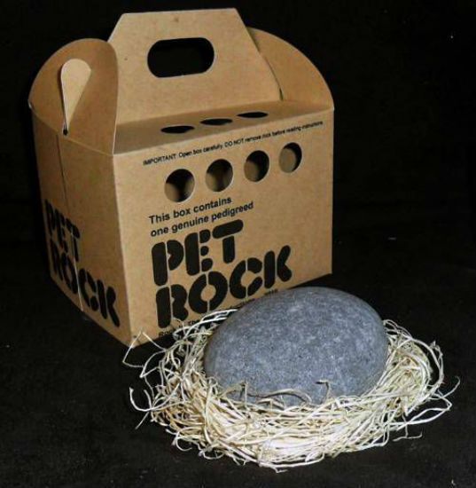 Pet rock