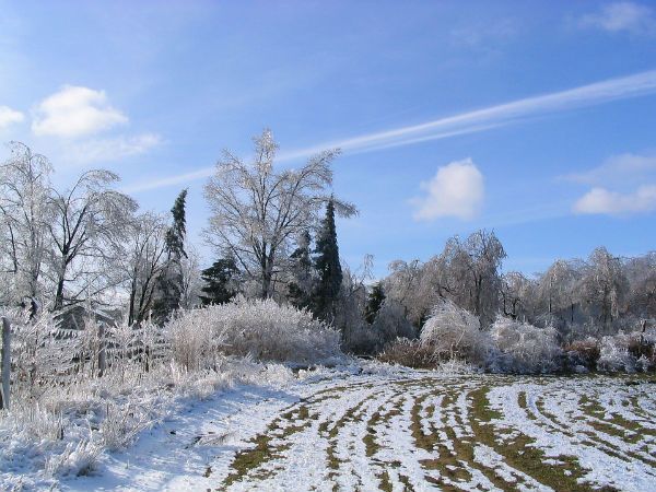 Winter Weather Forecast 2018-19 America