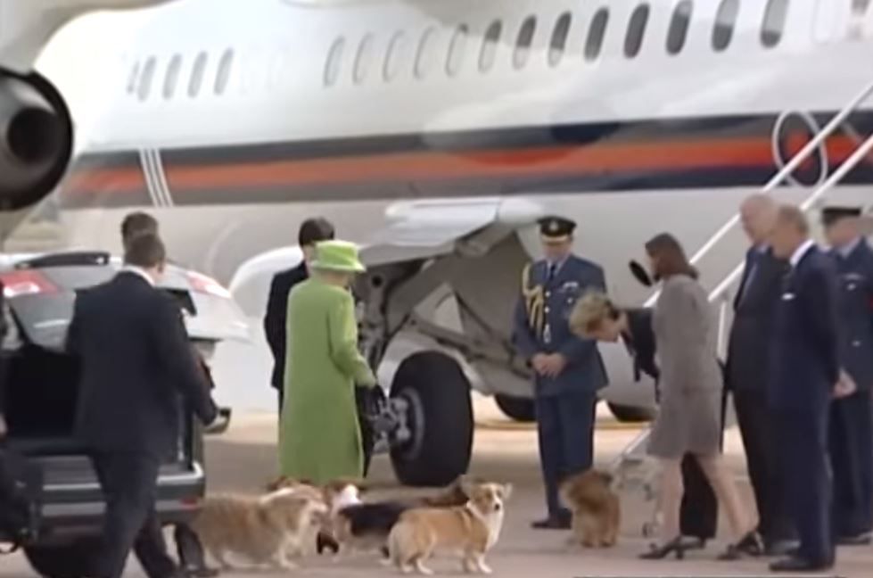 Queen brings corgis to the airport