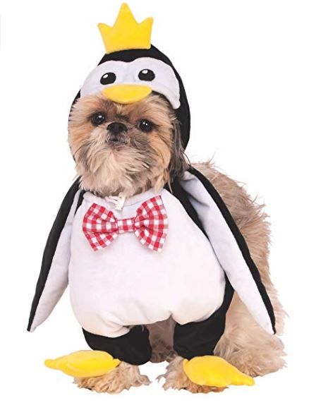 penguin costume 